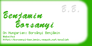 benjamin borsanyi business card